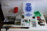 EFECTOS INTERVENIDOS