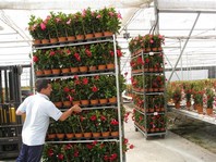 fotonoticia_20120206133251_500