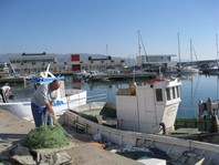 lonjas-almeria-pescado