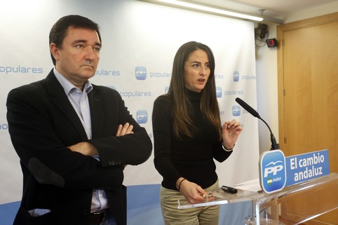 121126 Arancha Martin presupuesto UAL1