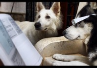 Foto ganadora ENFOCA 2012 modalidad Facebook