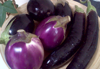 Berenjenas-de-Ecoindalo