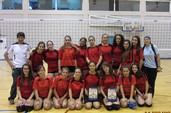 equipos de voleibol