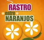 mercadillosegundamano-Rastro-entre-naranjos