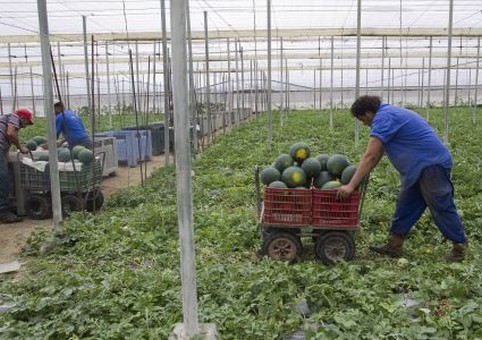 1364926963_331267_1364927105_noticia_normal