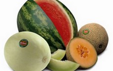 Copy_of_Melons