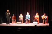 Navidad flamenca (22)