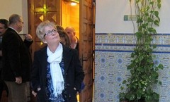 Viboras-respuesta-afectados-granizo-Ejido_EDIIMA20131216_0173_4