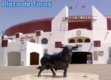 plaza-toros