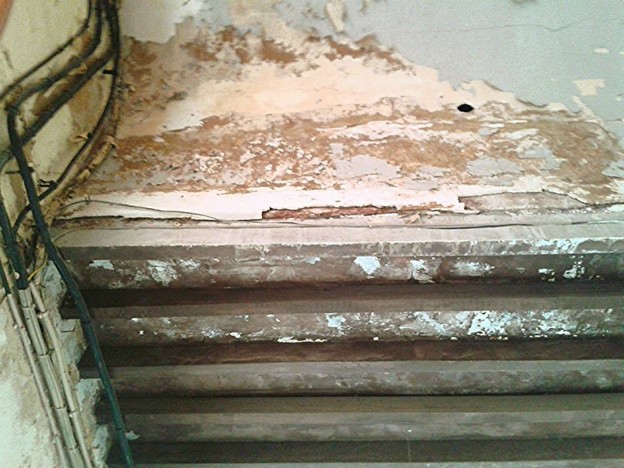 61547_10202869713332711_208484622_n