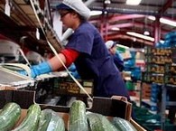 alm-agro--390x180 (1)