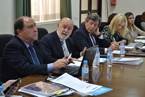 Pleno Consejo Social UAL