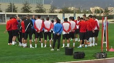 article (1)