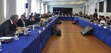 assembly of the LFP