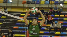 bruque_colocacion_cuartos_copa