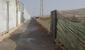 invernadero nuevo y viejo