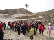 ruta senderista a Fuente Alamo (2)