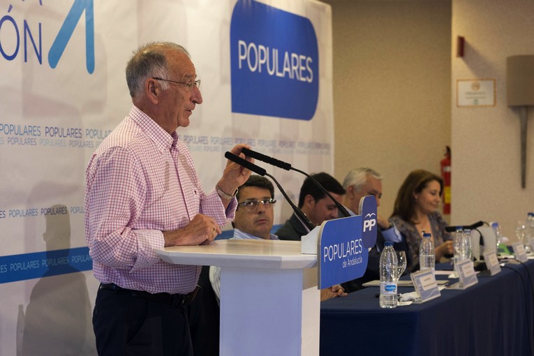 140530 Junta Directiva provincial PP5 Amat