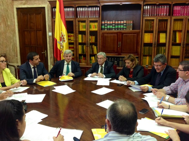 140618 Comisión Seguimiento PFEA