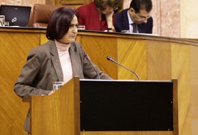 RosaliaMartinenparlamento