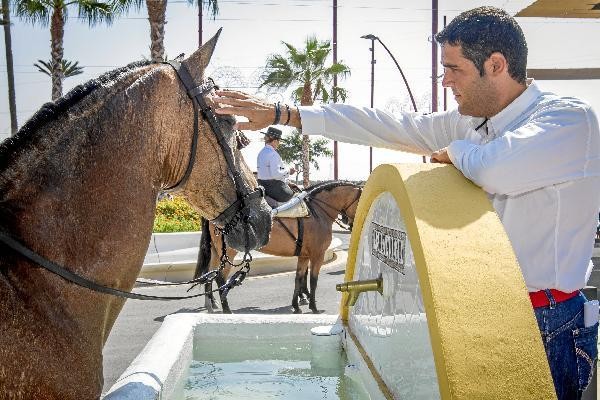 juanjosealonsoPPalmeria