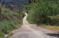Camino depuradora