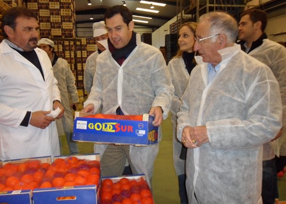 JUANMA MORENO EN COOPERATIVA AGROLEVANTE EN  HUu00C9RCAL-OVERA