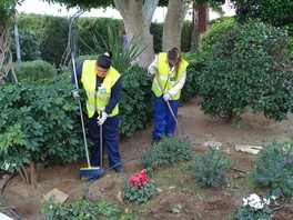 Jovenes trabajan en labores mantenimiento y limpieza de jardines y zonas verdes del municipio