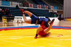 Campeonato andaluz de lucha