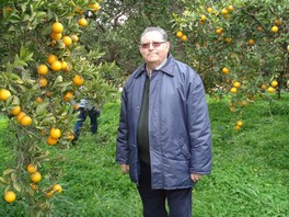 Francisco Ruiz recibirá el premio Naranja de Oro 2015 durante la celebración del Día de la Naranja