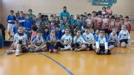 Minivoley