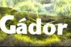 descarga