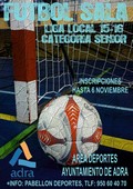 151027 liga local futbol sala