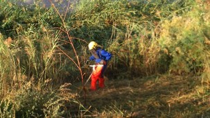 Veralimpiezarioantas