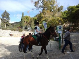 raid_hipico_berja_ganadora