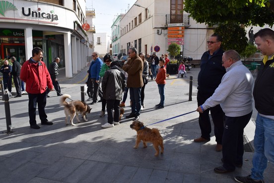 Los campaña  pide la colaboración de todos los propietarios de amimales de compañía para hacer un Gádor mas  habitable