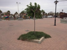 160808 FOTO PSOE Adra pago del lugar