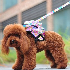 mascotas-mascotas-mochila-a-cabo-mochila-portatil-de-peluche-correas-para-perros-propia-morral-perro-encantador