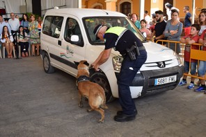 momeno-de-la-exhibicion-con-perro-adiestrado-de-la-polica-local-de-roquetas