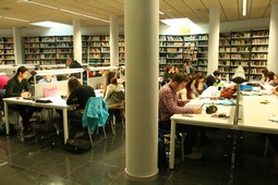 122712-biblioteca-nueva-8