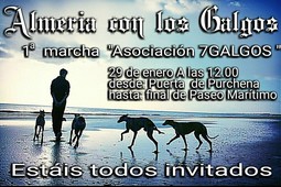 7Galgos-Marcha Almeria