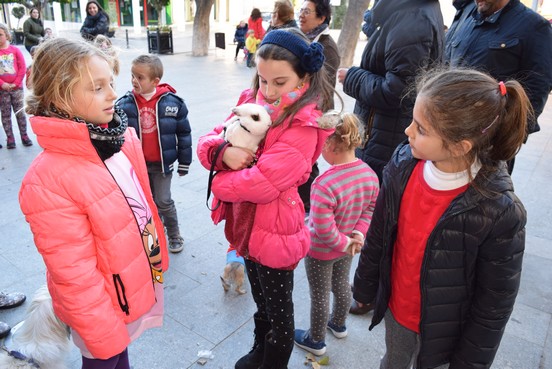 Los gadorenses han acudido con sus mascotas para recibir la tradiconal bendición por San Antón