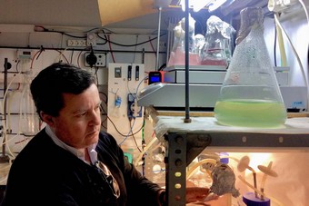 FOTO 3 MARZO 15 INVESTIGADOR JOSÉ FERNÁNDEZ SEVILLA_MICROALGAS