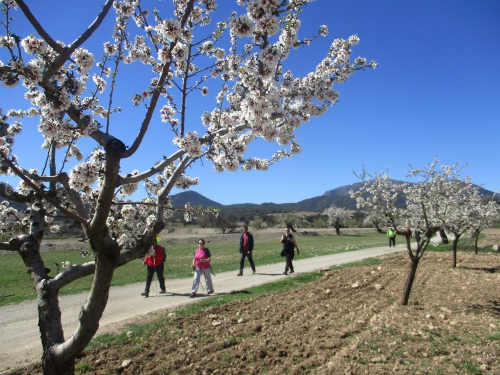 IMG_4724 [HDTV (1080)]