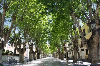 berja_paseo_cervantes