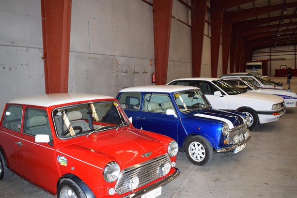 CONCENTRACIÓN COCHES 1