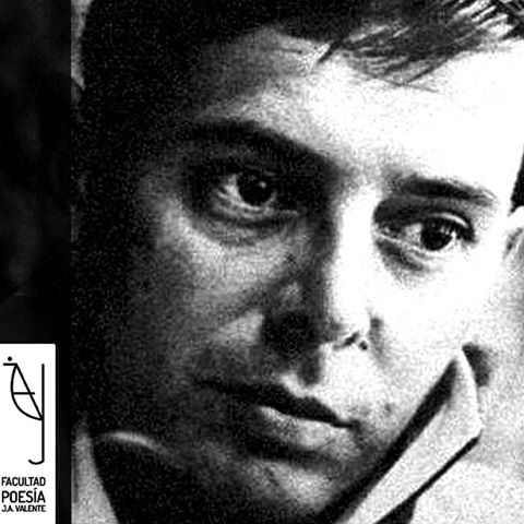 18010504_676638232537874_904352108976949795_n