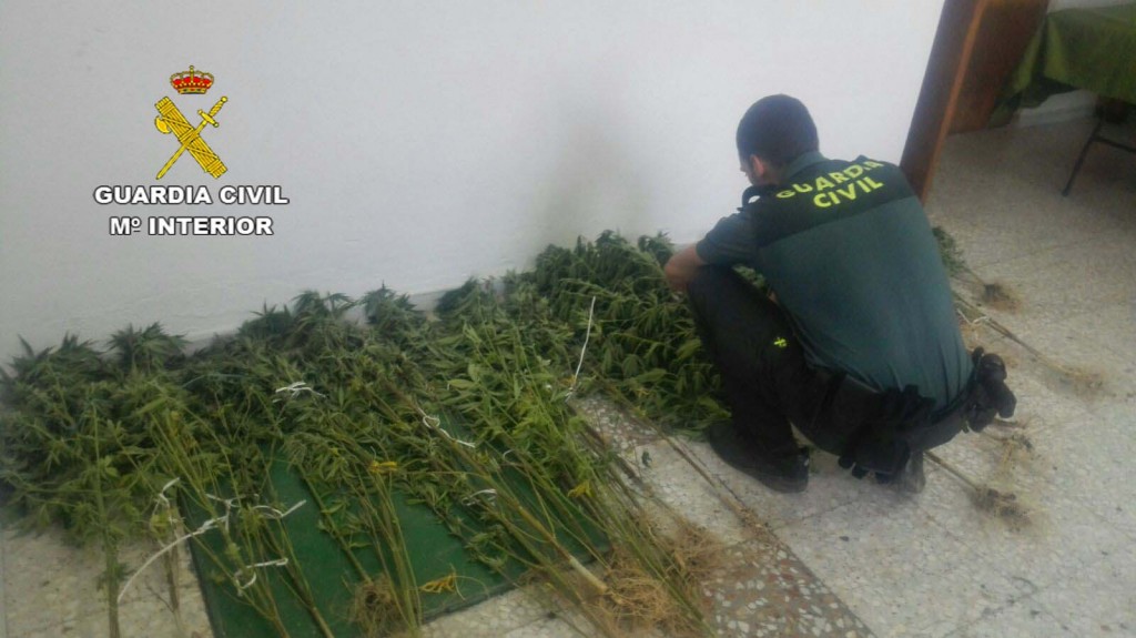 MARIHUANA_02
