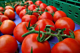 Tomates