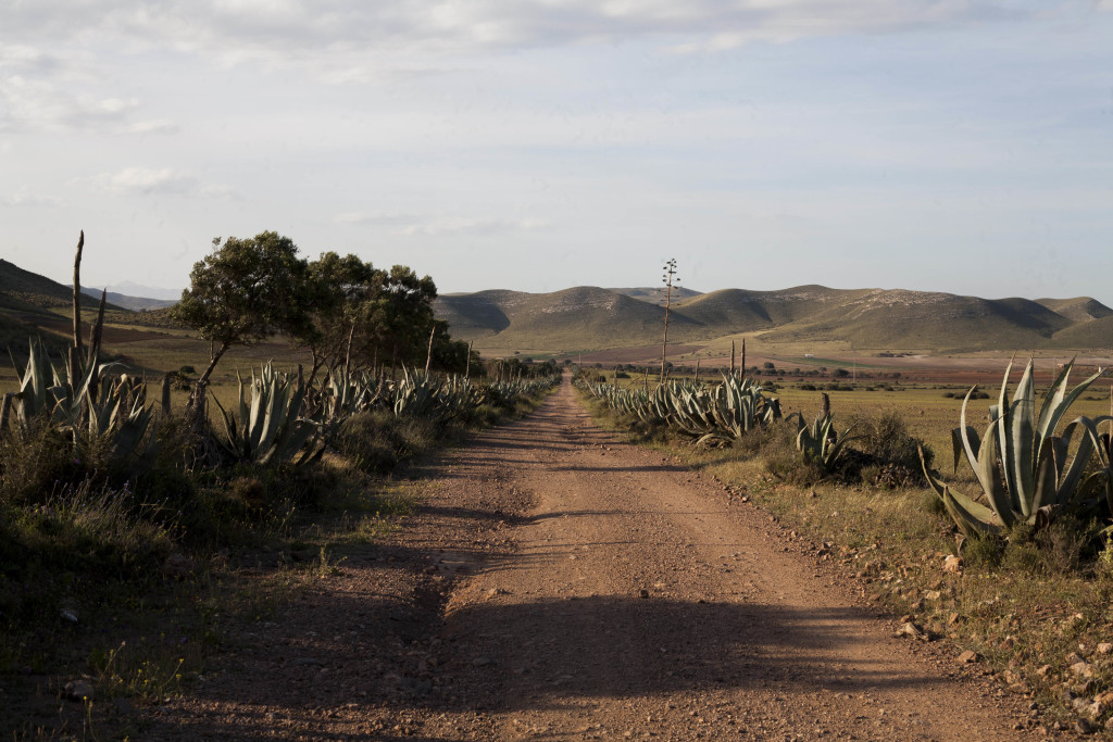 14.Ruta Cabo de Gata - Fraile.Rodalquilar